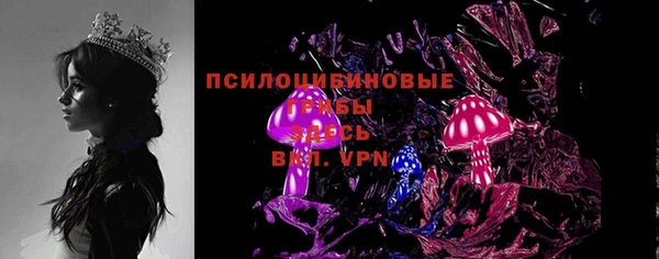 ПСИЛОЦИБИНОВЫЕ ГРИБЫ Долгопрудный