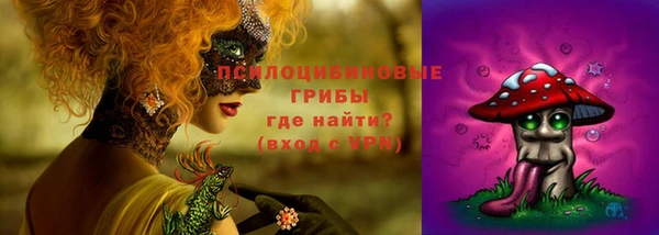 дживик Лихославль
