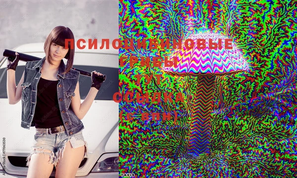 дживик Лихославль